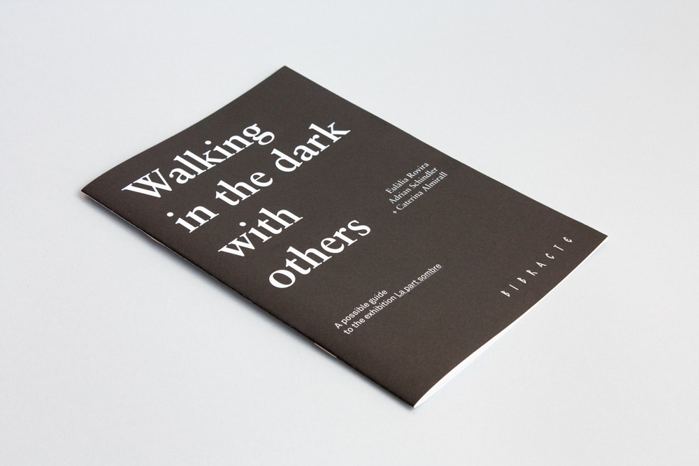 http://www.adrianschindler.com/files/gimgs/th-121_Walking_in_the_dark_1_web.jpg