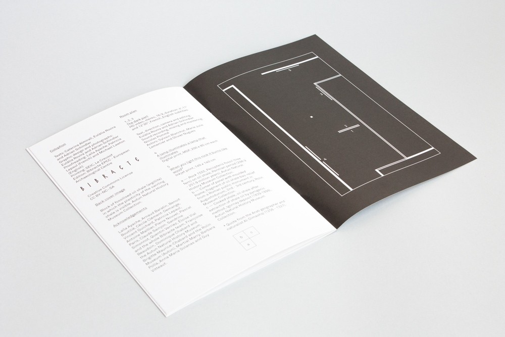 http://www.adrianschindler.com/files/gimgs/th-121_Walking_in_the_dark_6_web.jpg