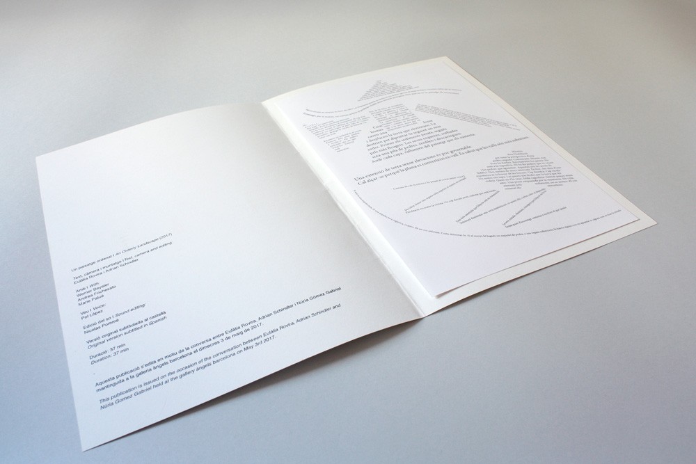 http://www.adrianschindler.com/files/gimgs/th-90_An_Orderly_Landscape_02_web.jpg